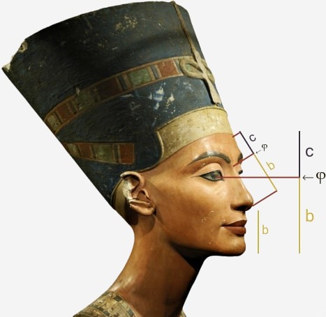 El busto de Nefertiti con lineas mostrando la proporcion de oro