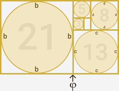 rectangulo con division aurea con sus correspondientes circulos